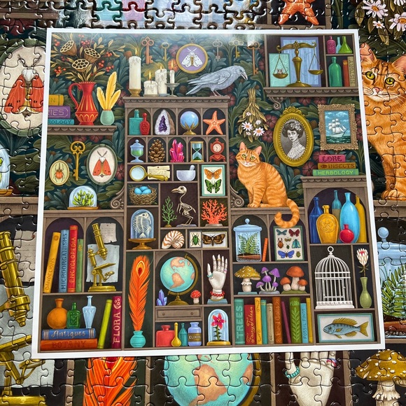 eeBoo 1000 piece puzzle ‘Alchemist’s Cabinet’ - Picture 2 of 5